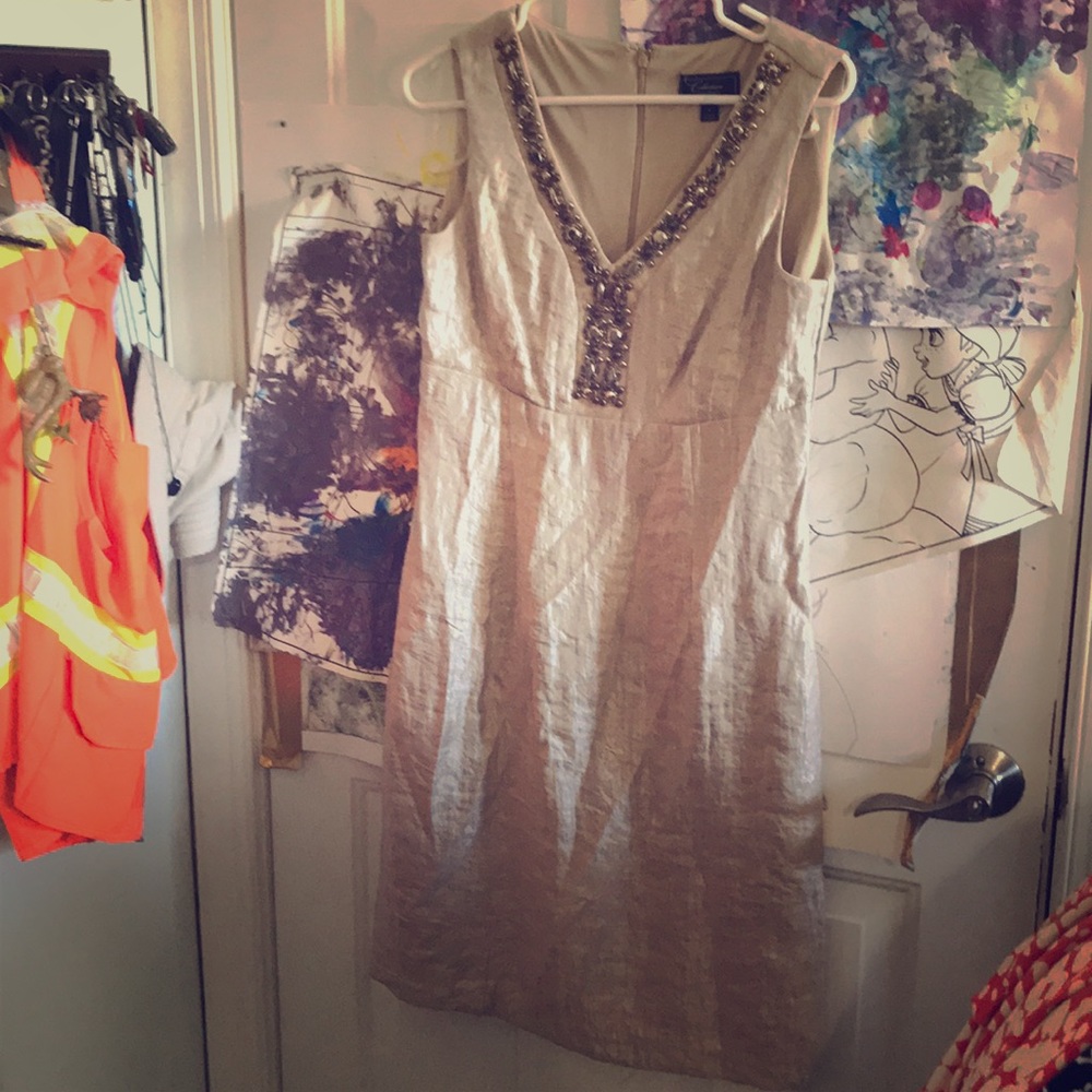 Dress barn sleeveless dress